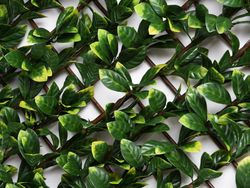 Treliça de vime com folhas sintéticas