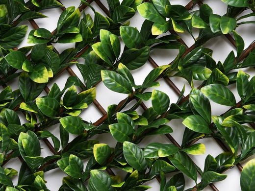 Treliça de vime com folhas sintéticas