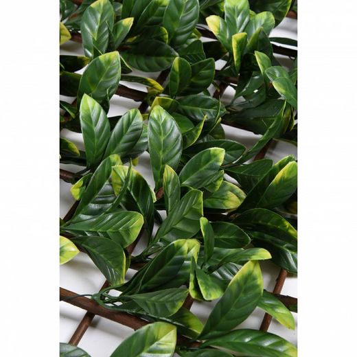 Treliça de vime com folhas sintéticas