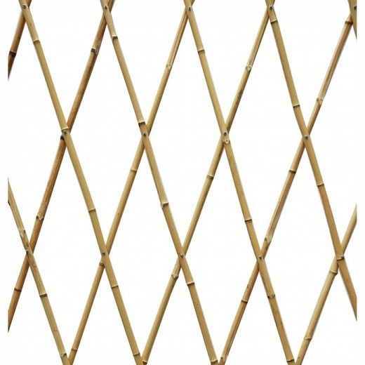 Extendable bamboo lattice