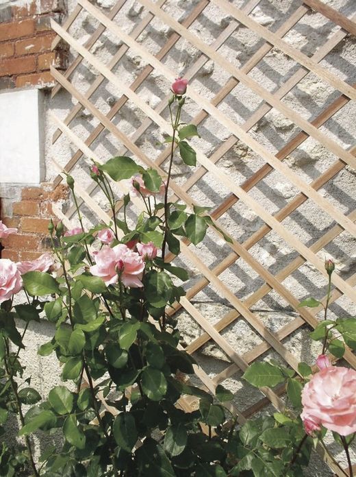 Celosía extensible de la marca Nortene