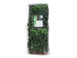 Vegetable Decorated Expandable Lattice