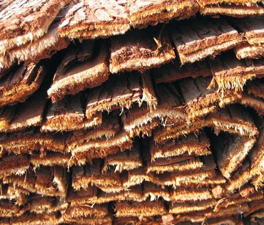 Invólucro natural de casca simples