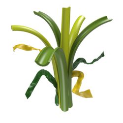 Césped Artificial Deluxe de alta calidad 40mm de altura de Real Turf