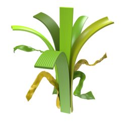 Césped Artificial Nature 60mm de altura de la firma Real Turf