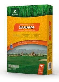 Low maintenance grass sahara de Zulueta