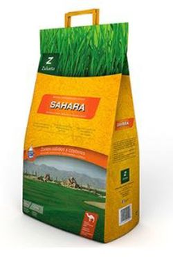Low maintenance grass sahara de Zulueta