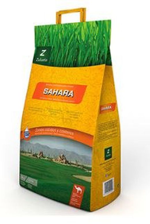 Low maintenance grass sahara de Zulueta