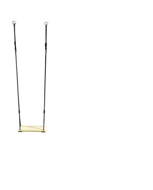 Balançoire en bois avec toboggan Prune