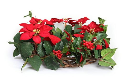 Corona ponsetia y acebo