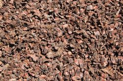 Corteza Mulching piña saca grande