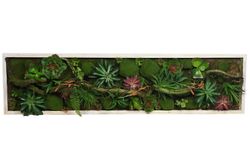 Immagine verticale del giardino artificiale