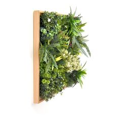 CUADRO VEGETAL ARTIFICIAL 50X50CM