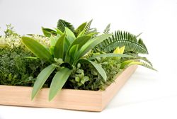 CUADRO VEGETAL ARTIFICIAL 50X50CM