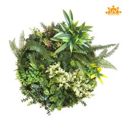 TABLEAU DE LÉGUMES RONDE ø 50CM