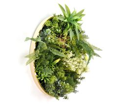 TABLEAU DE LÉGUMES RONDE ø 50CM