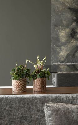 Madison Ceramic Cactus Pot Covers