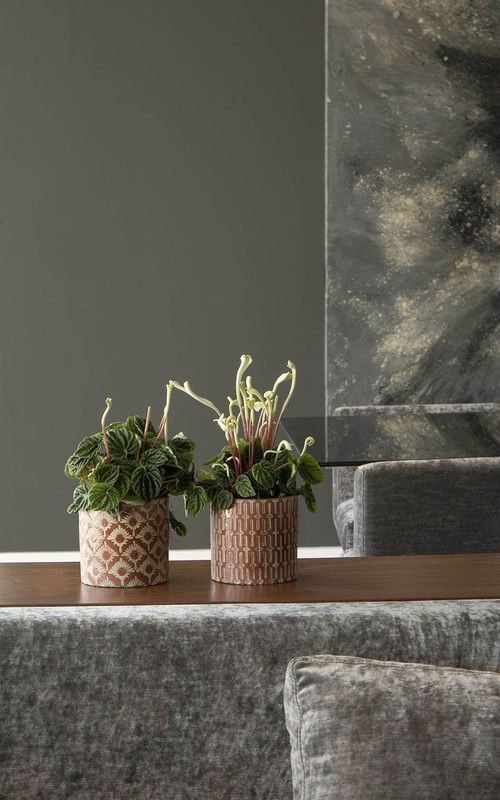 Madison Ceramic Cactus Pot Covers