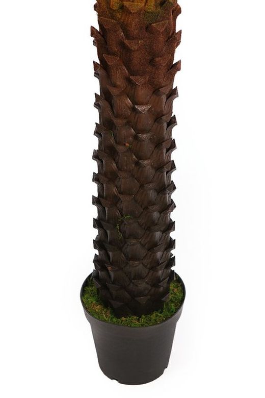 Cyca künstlich 170cm