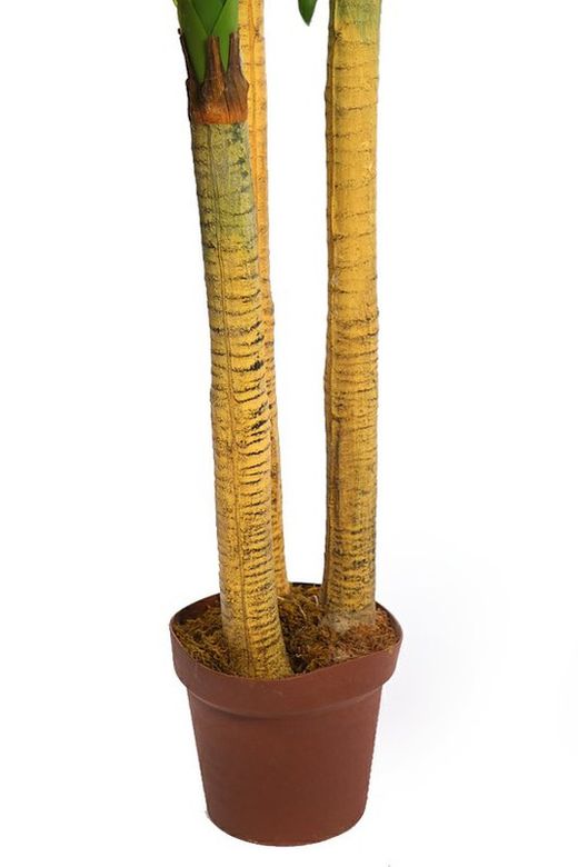 Künstliche Dracena natürliche Note