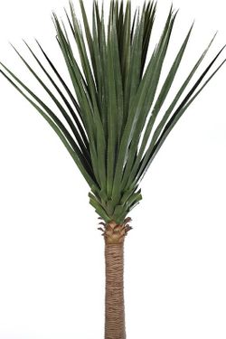 Dracena grande artificial KD9015