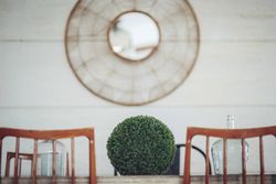 Decorative greenery ball «decosphere cypress» from the Nortene brand