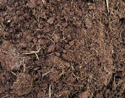 Estiércol en medio big bag