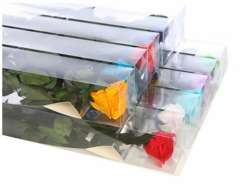 Estuche de Rosa Natural preservada