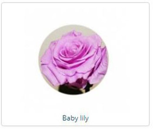 Estuche de Rosa Natural preservada