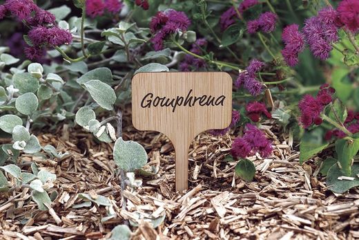 Bambusetiketten für Pflanzenetiketten