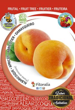 Apricot fruit red galta pot 25