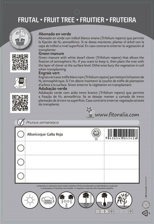 Apricot fruit red galta pot 25