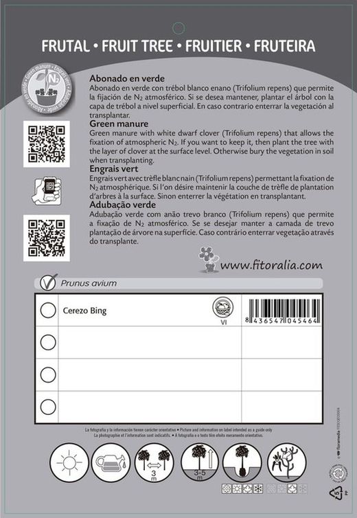 Frutal cerezo bing - Prunus avium - M 25