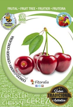 Frutal cerezo picota - Prunus avium - M 25