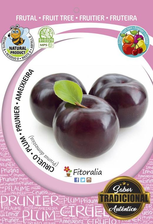 Frutal ciruelo black amber - Prunus domestica - M 25