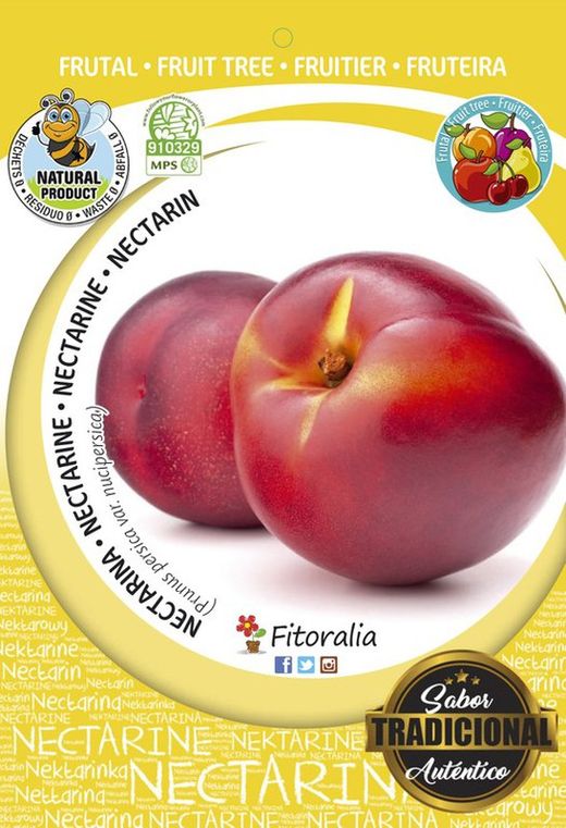 Frutal nectarina venus- Prunus persica var nicipersica