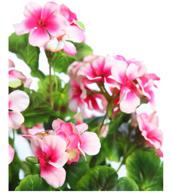 Künstliche Geranie mit Topf, 38 cm