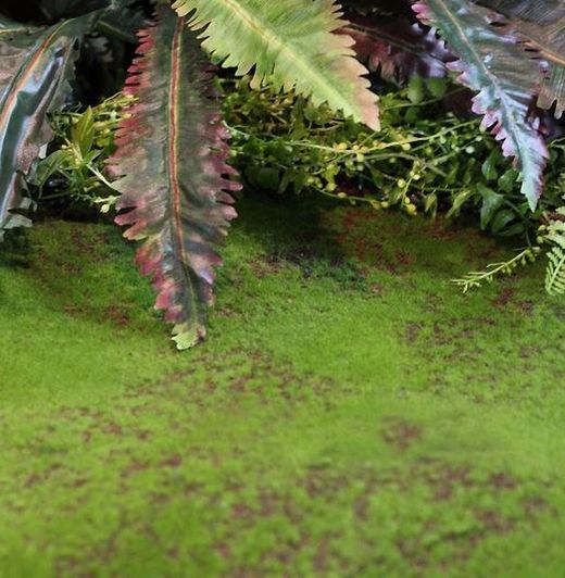 Large artificial moss-fern garden m2