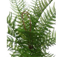 FELCE ARTIFICIALE 55CM