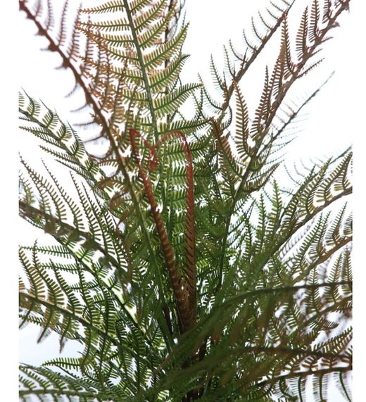 FELCE ARTIFICIALE 55CM