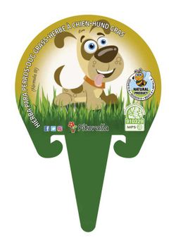 Herbe de chien en pot bio 1L