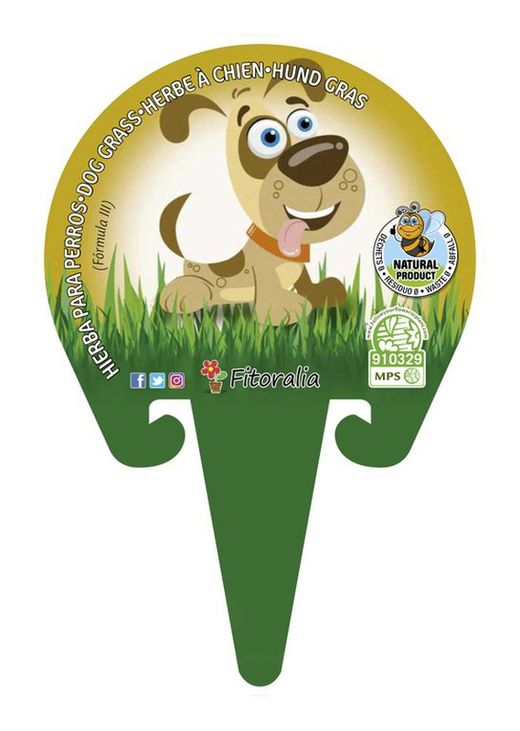 Hierba para perros ecologica en maceta 1L