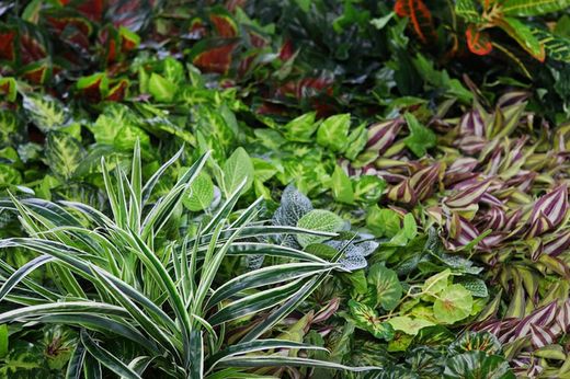 Preço do jardim artificial de toque natural m2