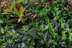 Preço do jardim artificial de toque natural m2