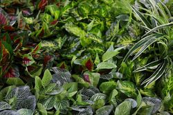 Preço do jardim artificial de toque natural m2