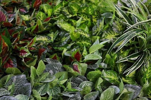 Preço do jardim artificial de toque natural m2