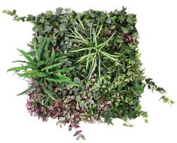 Jardim artificial para parede ou teto