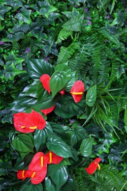 jardin vertical anthurium artificiel 1 m2