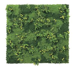 Jardín vertical artificial «Tundra» de la marca Nortene