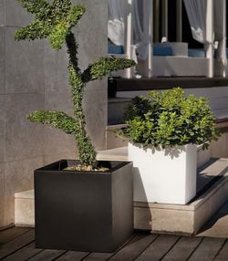 Square resin planter Square atlantis 39x39 cm